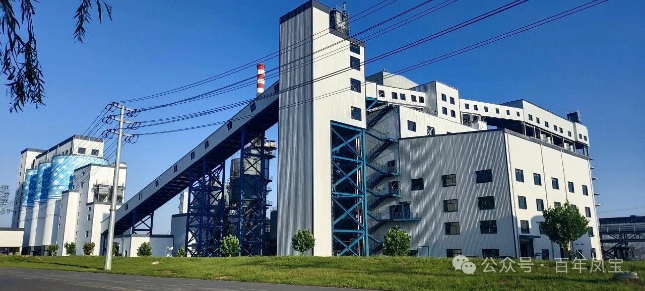 宋争辉到乐动登陆官网集团调研