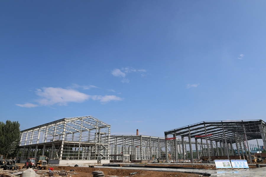 雷涛到城市矿产循环经济产业园宝成拆车项目调研