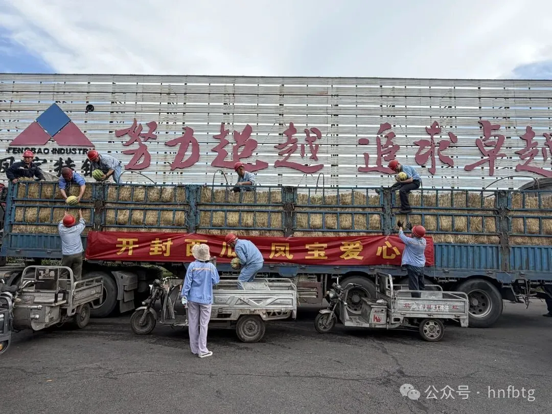 开封西瓜  乐动登陆官网爱心